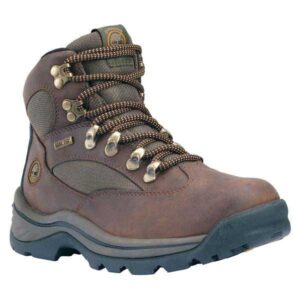 Timberland Chocorua Trail Goretex Hiking Boots Verde,MarrÃ³n EU 39 Mujer