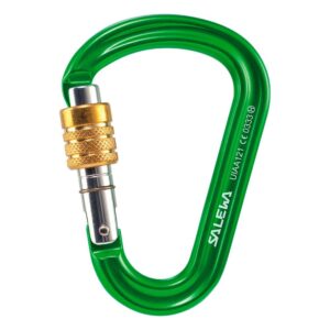 Salewa Hpro R Snap Hook Verde