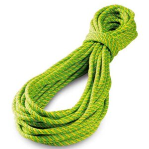 Tendon Ambition 9.8 Mm Standard Rope Verde 80 m