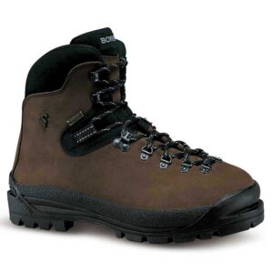 Boreal Asan Mountaineering Boots Marrón EU 37 Hombre
