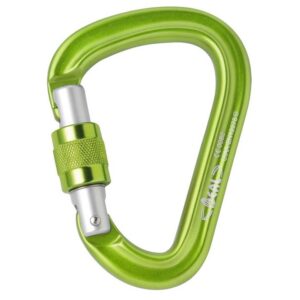 Beal Be Safe Screw Snap Hook Verde,Plateado