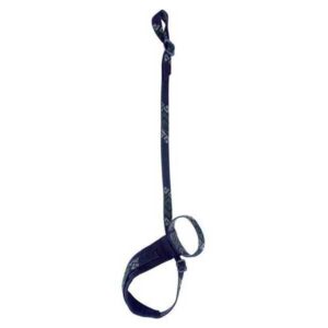 Black Diamond Lockdown Ice Axe Leash Negro