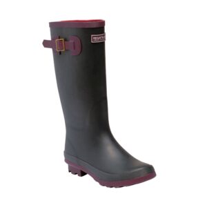 Regatta Fairweather Ii Boots Gris EU 37 Mujer