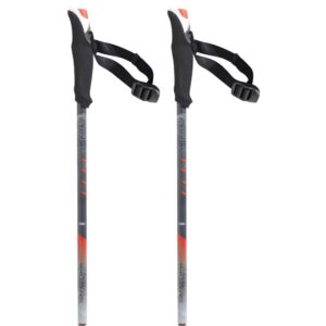 Tsl Outdoor Connect Carbon 2 Light Wt P&p Poles Gris 87.5-140 cm