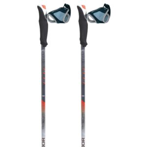 Tsl Outdoor Connect Carbon 2 Light P&p Poles Gris 87.5-140 cm