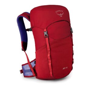 Osprey Jet 18l Backpack Rojo,Marrón