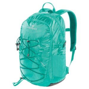 Ferrino Rocker 25l Backpack Verde
