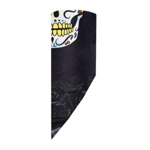 Wind X-treme Neck Warmer Negro Hombre