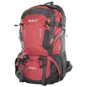Joluvi Angliru 55l Backpack Rosa