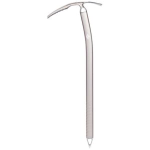 Black Diamond Raven Pro Ice Axe Plateado 70 cm