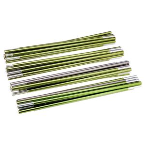 Salewa Sierra Leone Iii Pole Set Multicolor