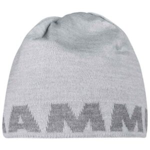 Mammut Logo Gris  Hombre
