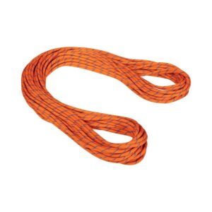 Mammut Alpine Sender Dry 9.0 Mm Rope Naranja 30 m
