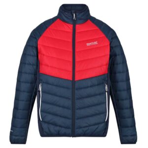 Regatta Halton Iv Jacket Azul S Hombre