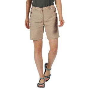 Regatta Chaska Ii Shorts Pants Beige 8 Mujer