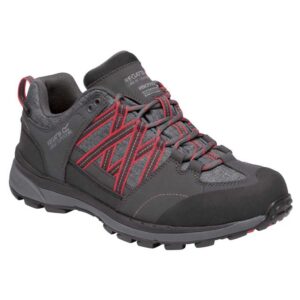 Regatta Samaris Low Ii Hiking Shoes Gris EU 39 Mujer