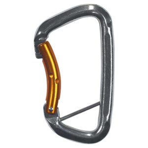 Climbing Technology Gym S Snap Hook Dorado,Plateado