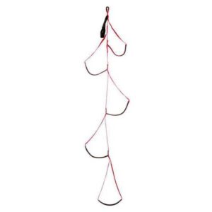 Black Diamond Alpine Aider Rojo