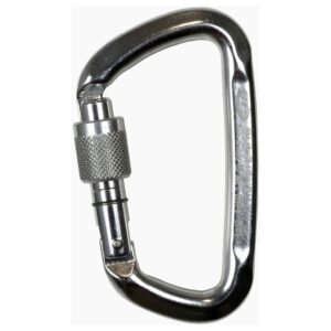 Climbing Technology D-shape Sg Snap Hook Plateado