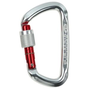 Climbing Technology D-shape Sg Snap Hook Rojo,Plateado