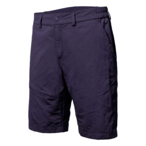 Salewa Iseo Dryton Shorts Azul L Hombre