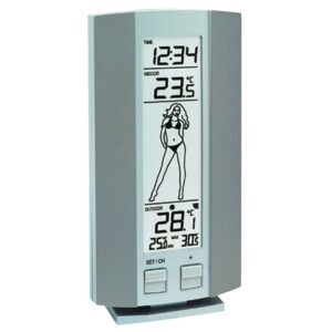 Technoline Ws 9750-it Plateado