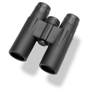 Gamo 10x32 Binoculars Negro