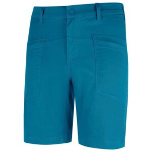 Wildcountry Stamina Shorts Azul L Hombre