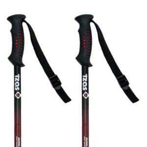 Izas Arguis Poles Negro 65-135 cm