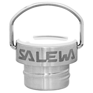 Salewa Aurino/valsura Steel Lid Plateado