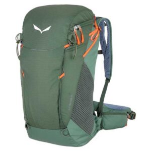 Salewa Alp Trainer 25l Backpack Verde