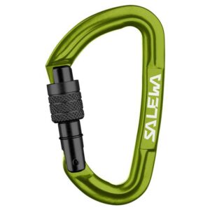 Salewa Hot G3 Screw Snap Hook Verde