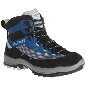 Dolomite Steinbock Wt Goretex Azul EU 31