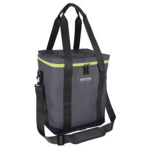 Regatta Glacio 20l Soft Portable Cooler Gris