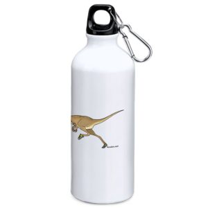 Kruskis Dino Run 800ml Aluminium Bottle Blanco