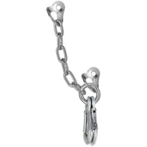 Fixe Climbing Gear Anchor Type D 2 Draco Stainless Steel M12 Plateado