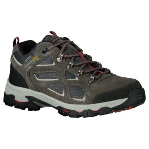 Regatta Tebay Low Hiking Shoes Gris EU 43 Hombre