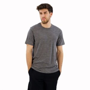 Icebreaker Tech Lite Ii Merino Short Sleeve T-shirt Gris M Hombre