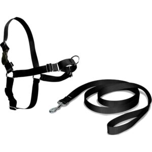 Nayeco Easy Walk Harness Negro S