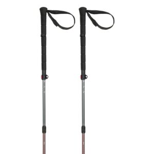 Ferrino Thui Poles Negro 110-135 cm